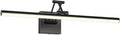 Joossnwell Picture Light for Painting Black Art Light Hard-Wired Picture Frame by Joossnwell