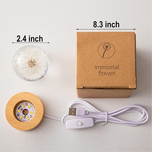 Flower Crystal Ball Night Light, 2.4 inch Glass Ball Night Lamp - Image 5