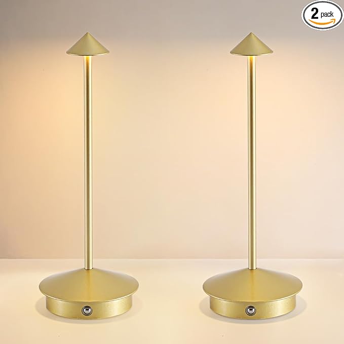EJQ 2 Pack LED Rechargeable Cordless Table Lamps, Portable Outdoor 5000mAh by EJQCordlessTableLamp