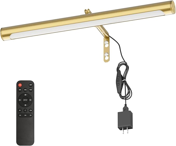 Picture Lights for Paintings Plug in, Remote Control Gallery Painting Wall by Coinmit
