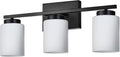 VINLUZ Black Bathroom Vanity Light, 3-Light Modern Wall Sconce Lighting by VINLUZ
