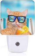 LED Night Light, Funny Cat Sunglasses Relaxing Vacation On Blue Sea LED Night by Unknown