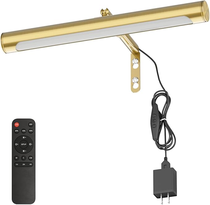 4W Picture Light Plug in, Dimmable Wall Light by Coinmit