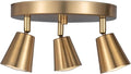 3 Light Track Lighting Kit, Matt Brass Finish Canopy by CRAFTRONOS
