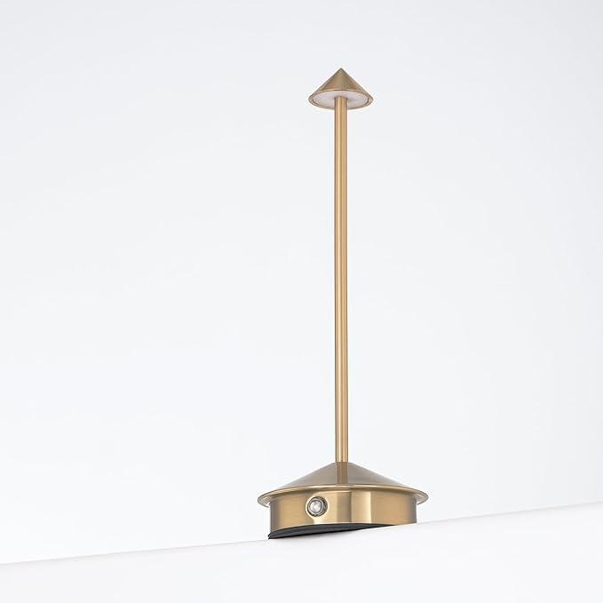 Arrrow LED Cordless USB-C Re-Chargeable Desk Lamp, 5200mAh Battery Operated by EastGroveHome