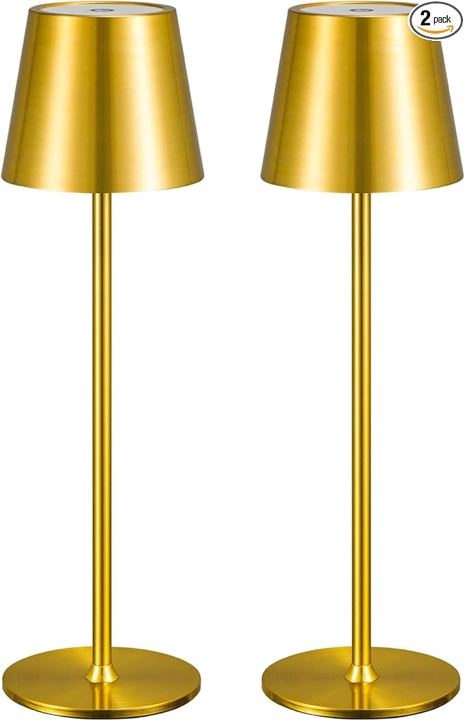 2 Pack Cordless Table Lamp, Portable LED Desk Lamp, 6000mAh Battery Operated by Zoeger