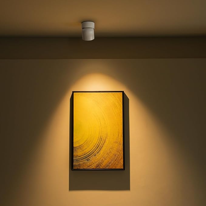 Aisilan LED White Adjustable 360° Pivoting Ceiling Spot Light Indoor, CRI 97 - Image 2