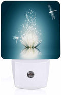 LED Night Light, Magic Blooming Lotus Flower LED Night Light Plug into Wall by Unknown