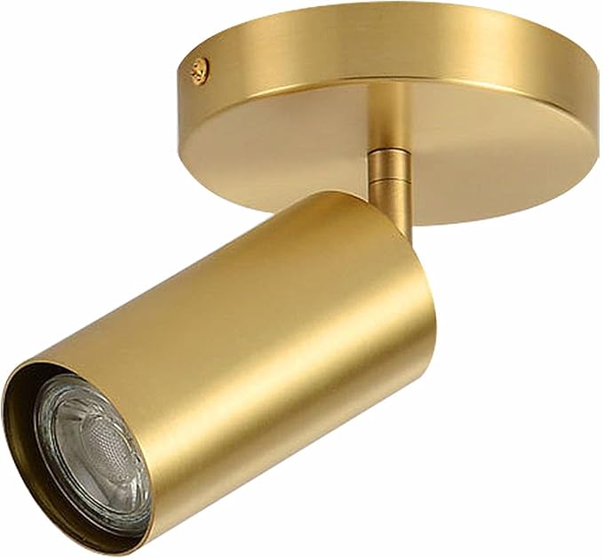 BOKT 1-Lights Modern LED Track Lighting Kit Brushed Gold Spotlight Fixtures by BOKT