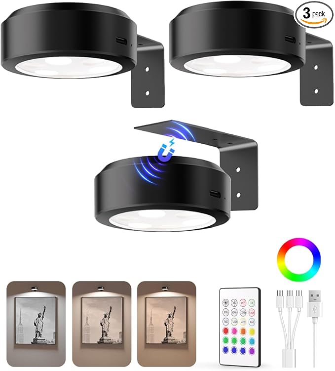 EZVALO Picture Lights for Wall, 2000mAh Rechargeable Battery Magnetic Poster by EZVALO