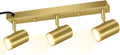3 Light Track Lighting Kit, Industrial LED Wall Light by HOME