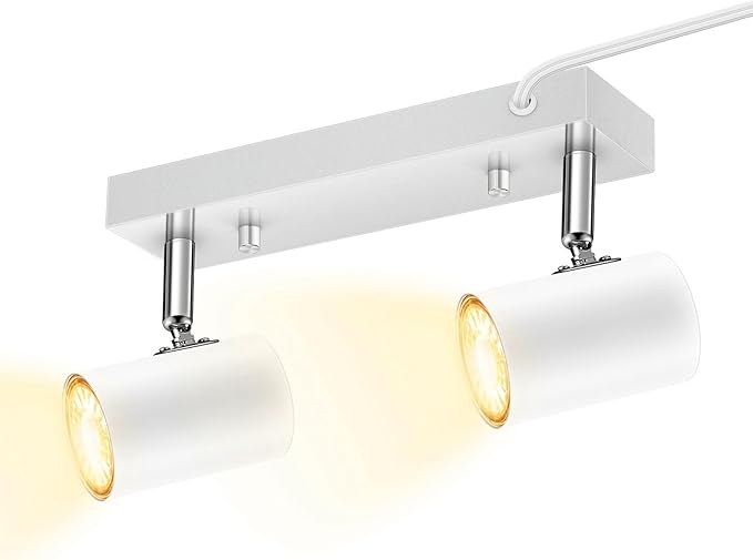 2 Light Track Lighting Kit, Industrial LED Wall Light by HOME