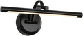 Black Picture Lights for Paintings Hardwired LED Wall Art Lighting 15.75" by Tassuowell