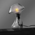 V06 Vintage Mushroom Table Lamp by HYMELA