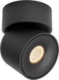 Aisilan LED Ceiling Spotlight Indoor 7W Black Directional Accent Light Fixture by AisilanLighting