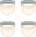 Vego garden Rippled Solar Garden Lights by VegoGarden