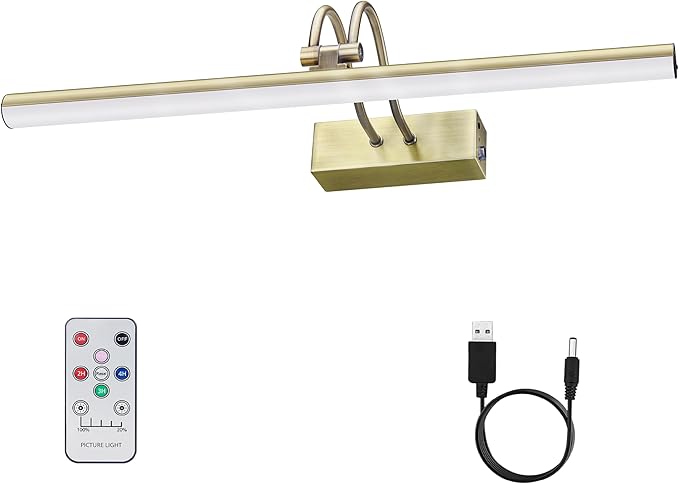 Picture Light, Picture Lights for Wall Cordless, Battery Wall Lights for by RAIFOOLLY