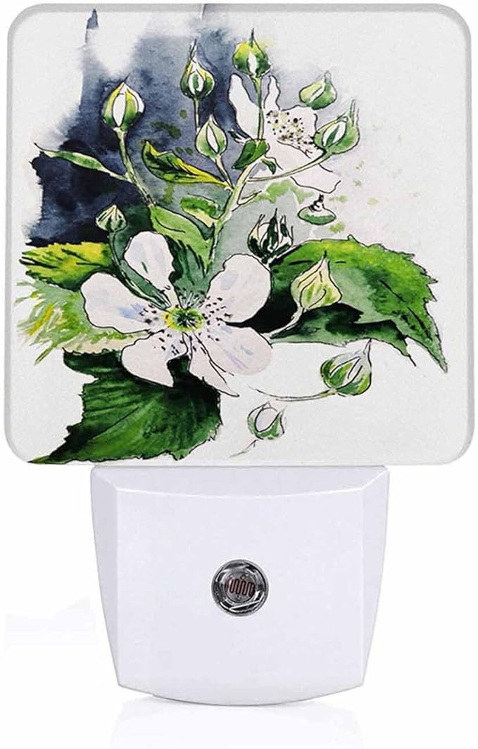 LED Night Light, Flower BlackBerry Watercolor Painted Blossom LED Night Light by Unknown