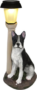 Solar Dog Garden Statues with Lantern, Resin Boston Terrier Sculpture with Warm by BAYN