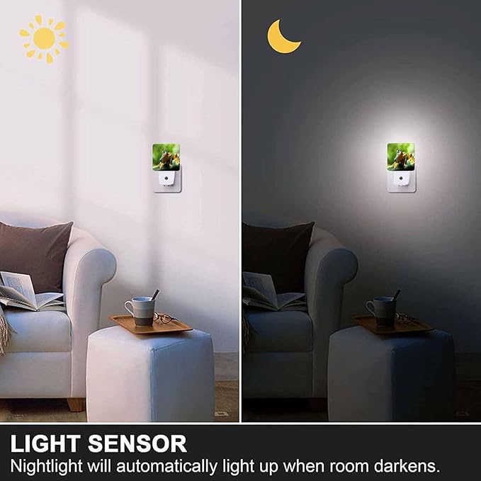 LED Night Light - Image 5