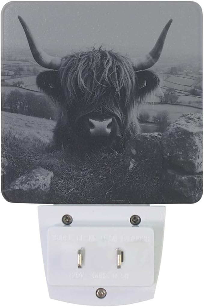 Black Highland Cow Print Night Light LED Plug in Nightlight Light Sensor Dusk - Image 4
