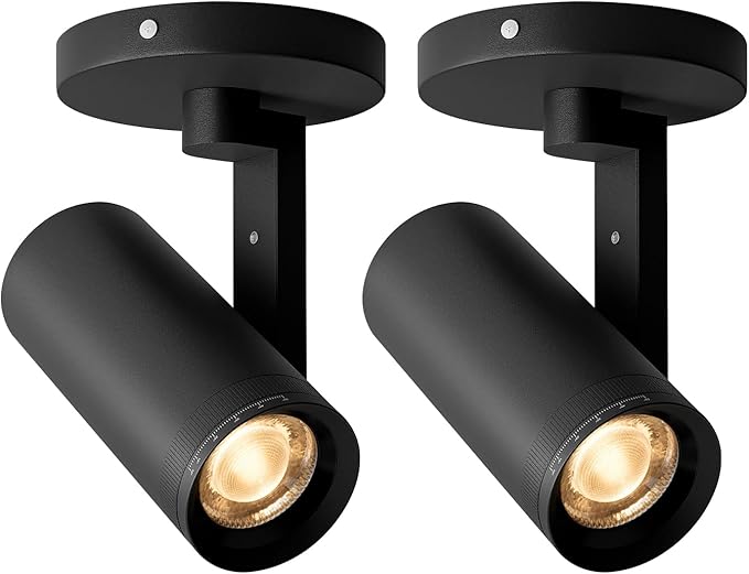 Aisilan Adjustable Dimmable Beam Angle 10-55° Zoomable Spotlight Indoor by AisilanLighting