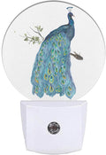 EKOBLA Peacock on Tree Branch Night Light Watercolor Peacock Feather Teal by EKOBLA