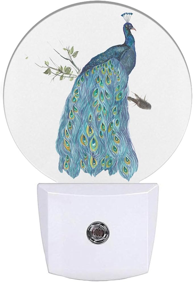 EKOBLA Peacock on Tree Branch Night Light Watercolor Peacock Feather Teal by EKOBLA