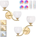 Battery Operated Wall Sconce, 2-Lights Vinatge Brass Wall Lighting by Shenmoyl