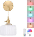 Battery Operated Wall Sconce by Shenmoyl