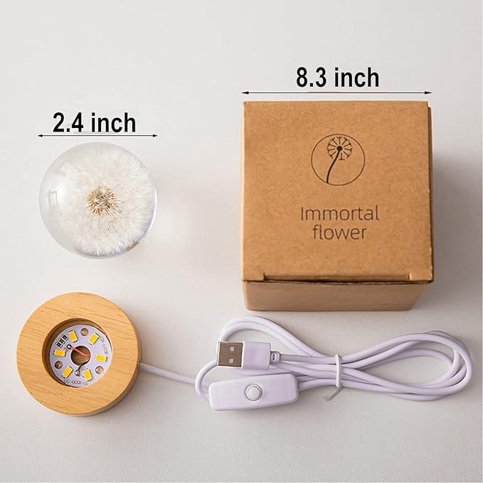 Flower Crystal Ball Night Light, 2.4 inch Glass Ball Night Lamp - Image 5