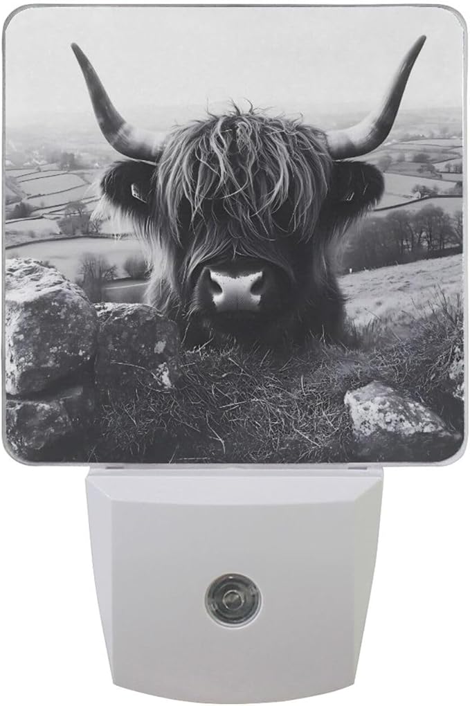 Black Highland Cow Print Night Light LED Plug in Nightlight Light Sensor Dusk by Unknown