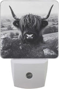 Black Highland Cow Print Night Light LED Plug in Nightlight Light Sensor Dusk by Unknown