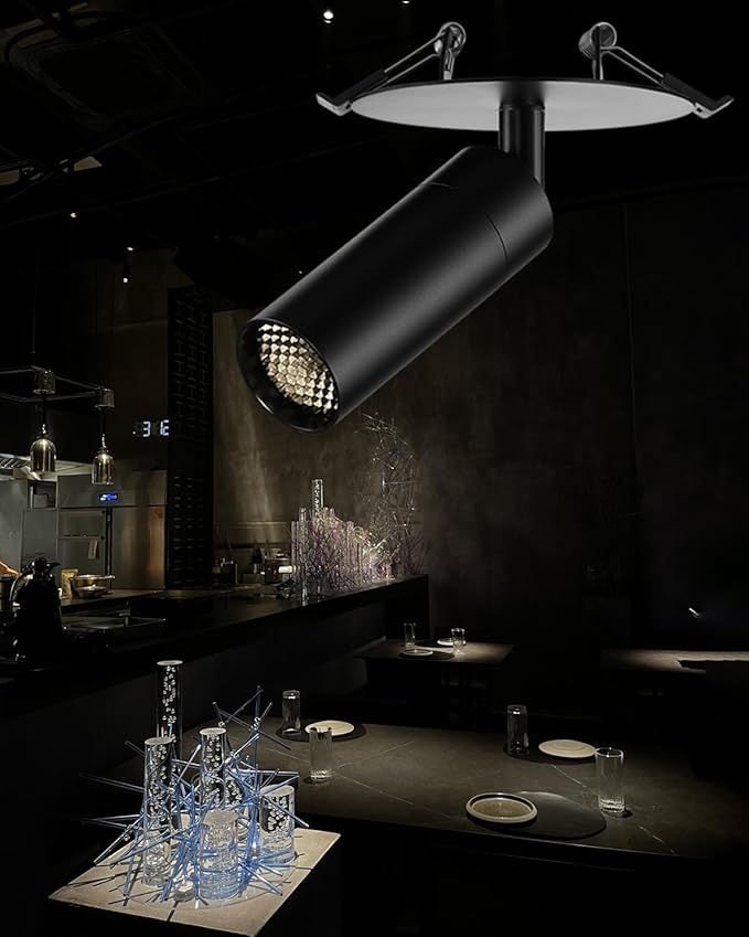 Light Fixtures, Modern LED Ceiling Spotlight, 10W Zoom Track Spotlight by Gpaillumic