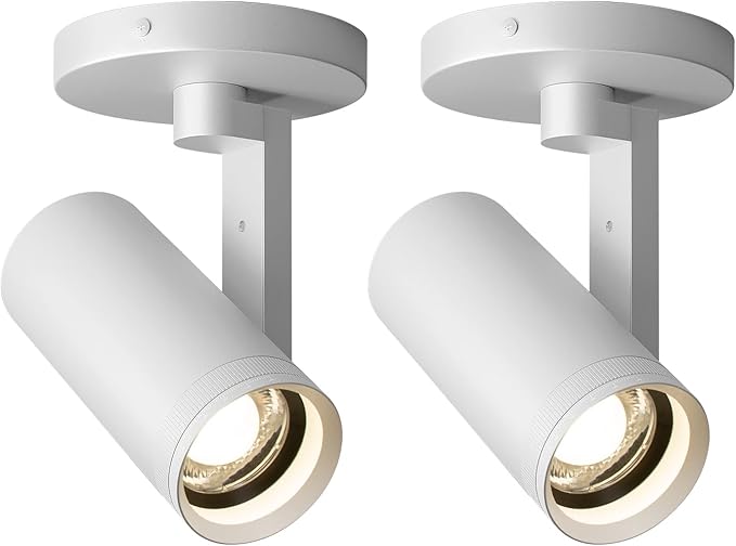 Aisilan Adjustable Dimmable Beam Angle 10-55° Zoomable Spotlight Indoor by AisilanLighting