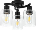 WILON Black Flush Mount Ceiling Light, Farmhouse Kitchen Lighting Fixtures by WILON