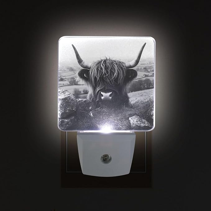 Black Highland Cow Print Night Light LED Plug in Nightlight Light Sensor Dusk - Image 2