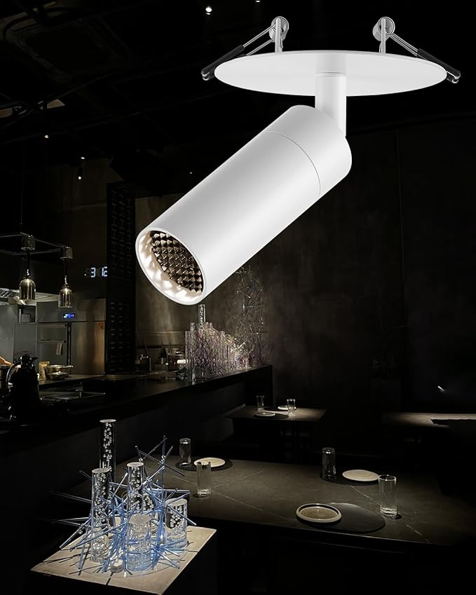 Light Fixtures, Modern LED Ceiling Spotlight, 10W Zoom Track Spotlight by Gpaillumic