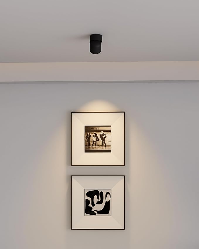 Aisilan LED Ceiling Spotlight Indoor 7W Black Directional Accent Light Fixture - Image 8