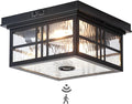Industrial Motion Sensor Outdoor Flush Mount Ceiling Light, Water Ripple Glass by CALOKES