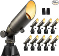 Gardenreet Low Voltage Spotlight by Gardenreet