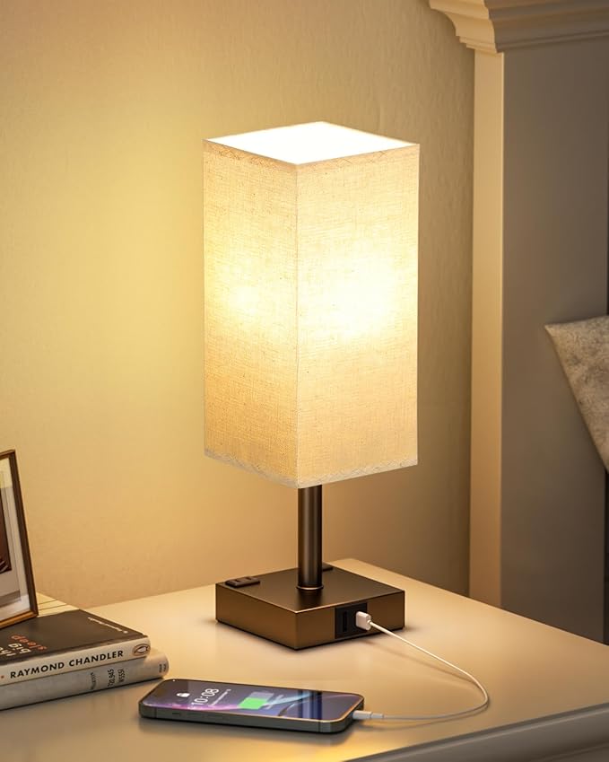 Brown Touch Table Lamp by Aooshine