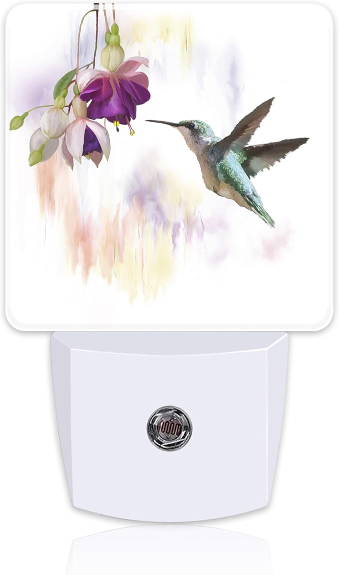 Hummingbird Flowers Night Light by sndheke