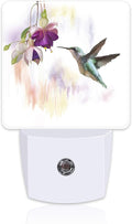 Hummingbird Flowers Night Light by sndheke