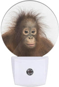 EKOBLA Funny Monkey LED Night Light Ape Wildlife Animal Dusk to Dawn Plug-in by EKOBLA