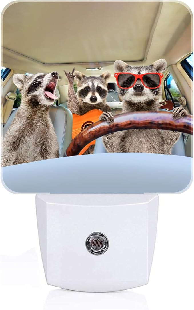 Three Cute Raccoons Night Light, Plug-in Nightlights Auto Sensor Night Lamp by Unknown