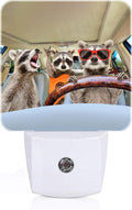 Three Cute Raccoons Night Light, Plug-in Nightlights Auto Sensor Night Lamp by Unknown