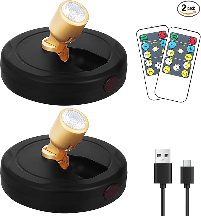 Rechargeable Spotlight, Battery Powered Picture Lights by KANESIKI