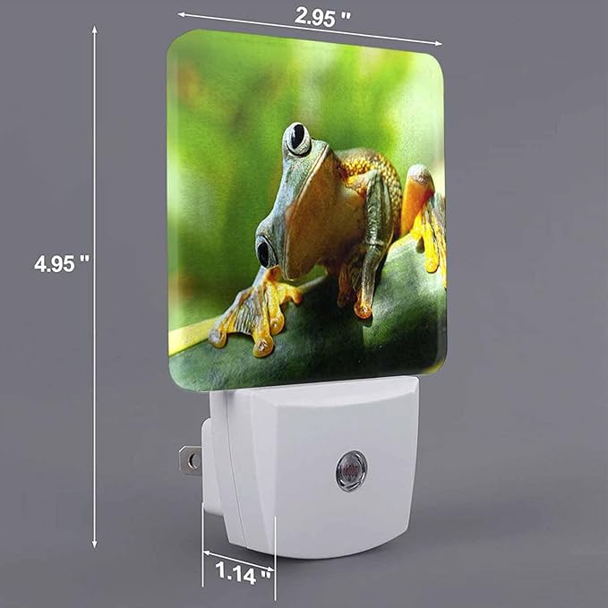 LED Night Light - Image 7
