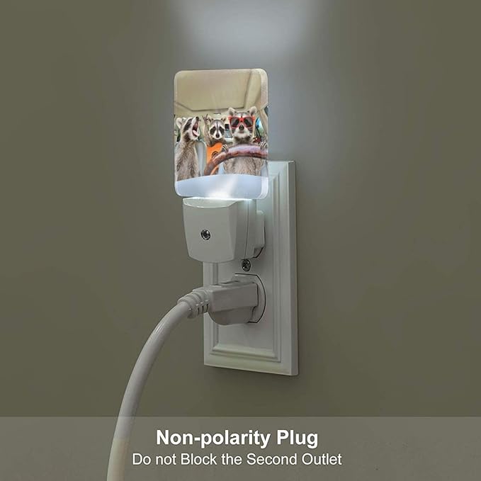 Three Cute Raccoons Night Light, Plug-in Nightlights Auto Sensor Night Lamp - Image 5